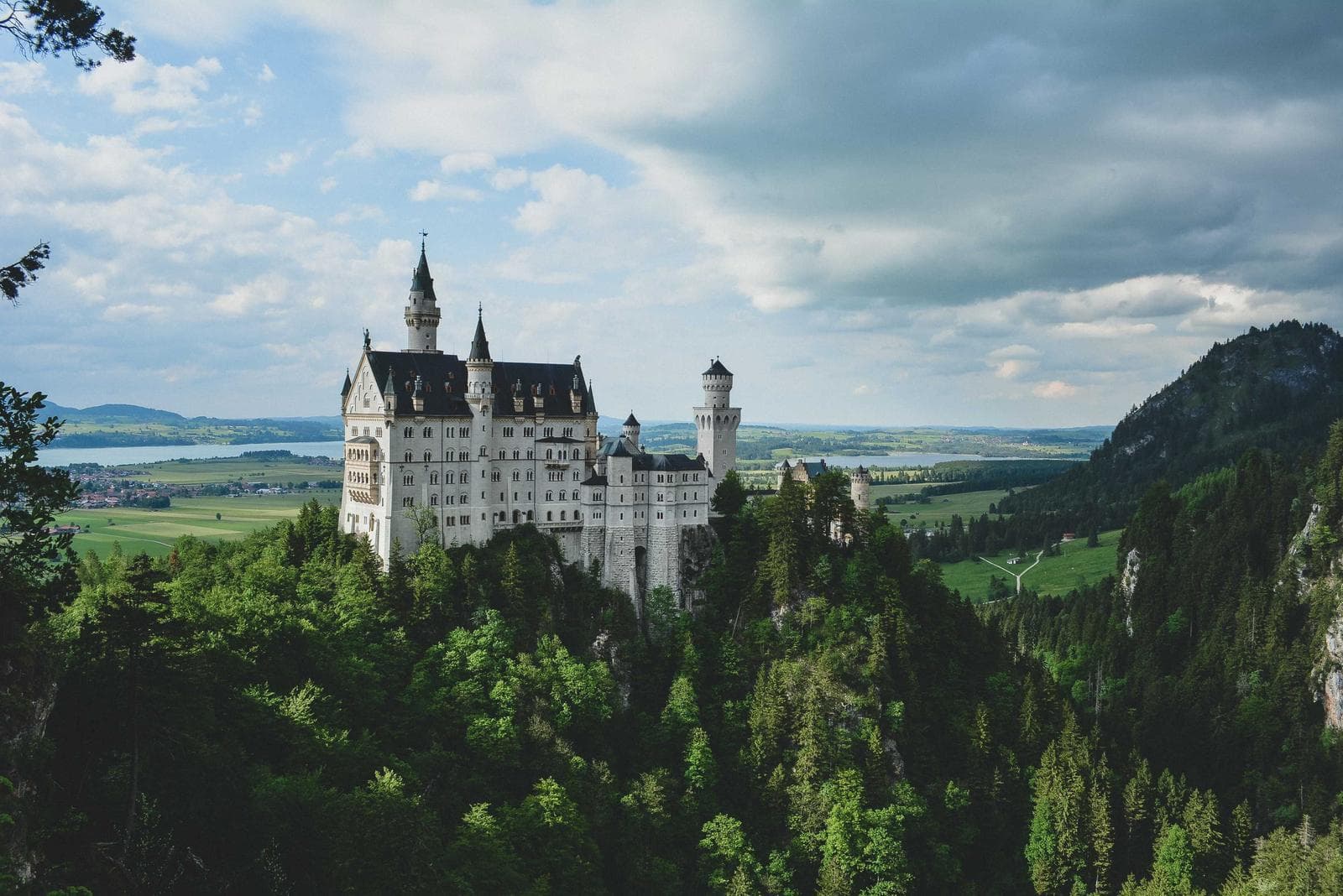 Castle in the trees