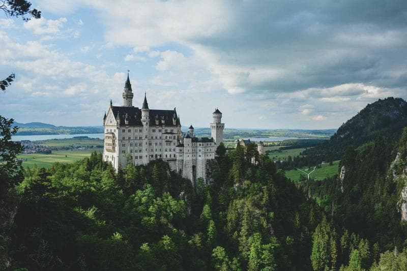 Castle in the trees