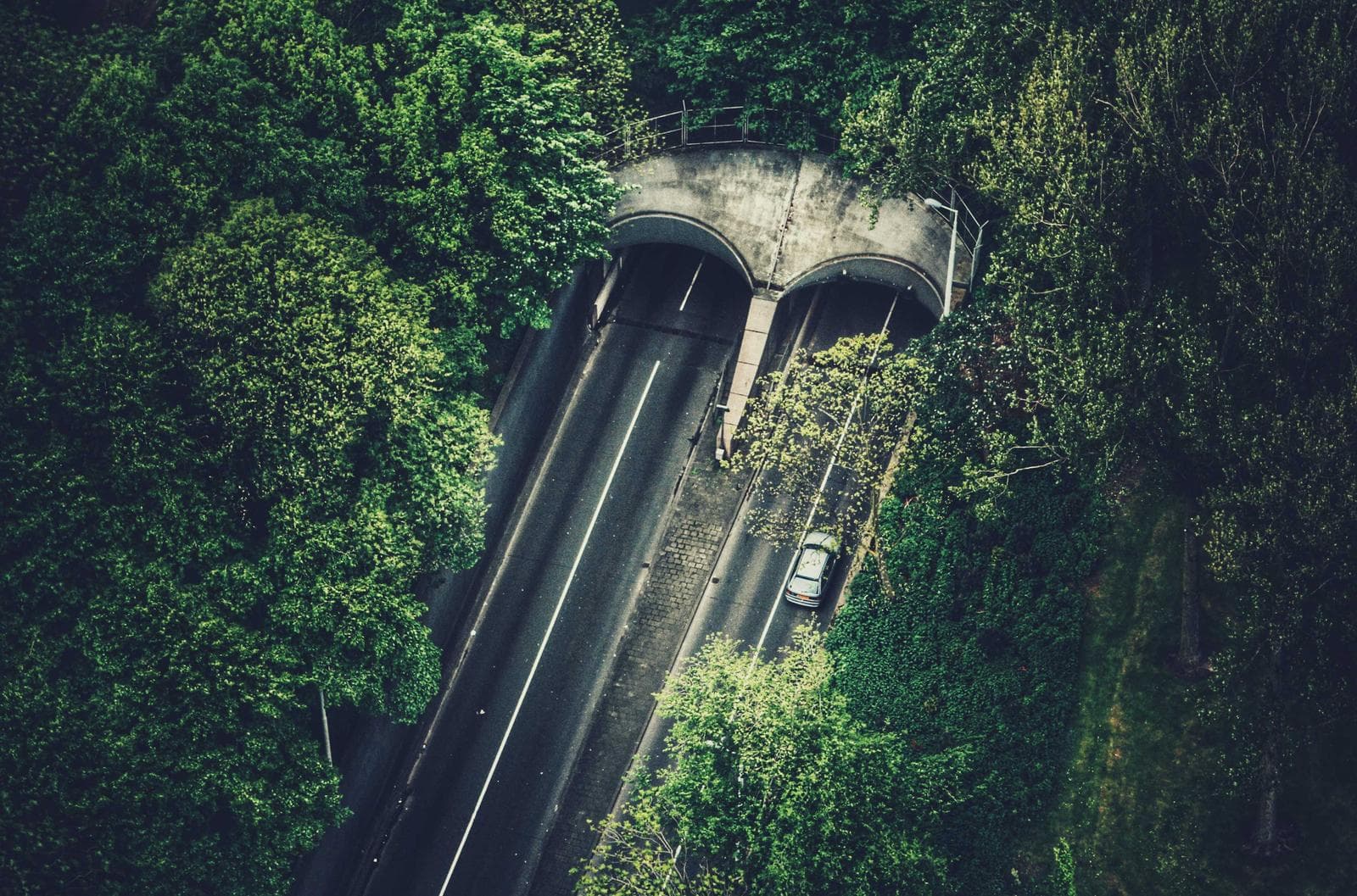 Road into the hill