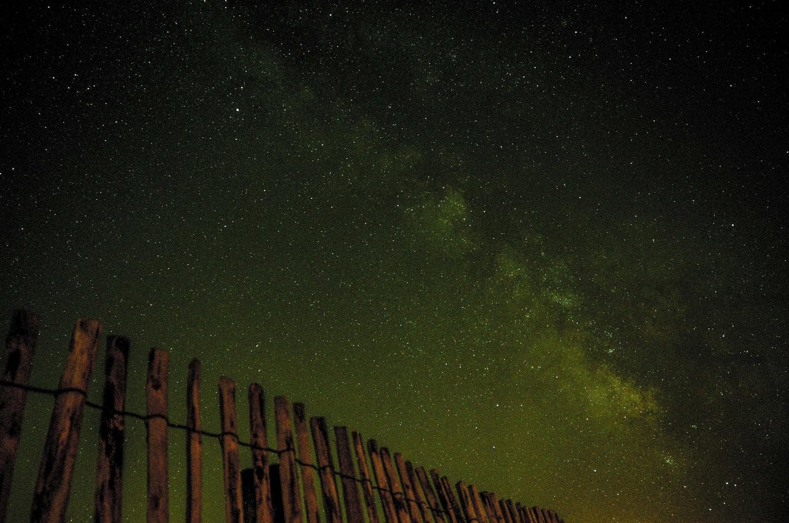 Fence in the green