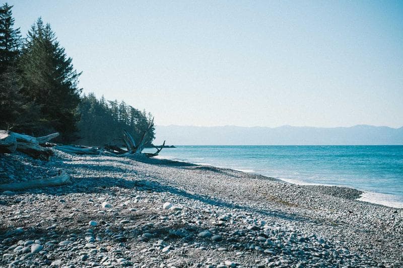 Shoreline