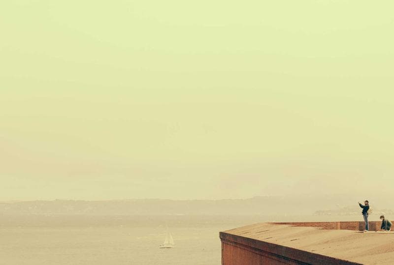 Pale minimal