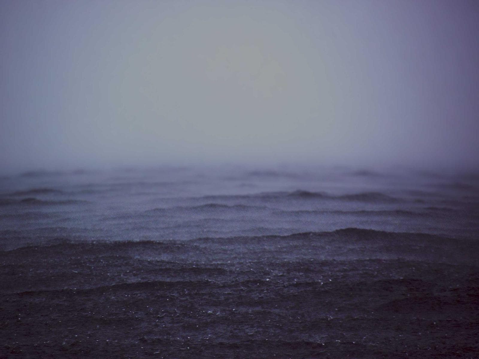 Sea in mist