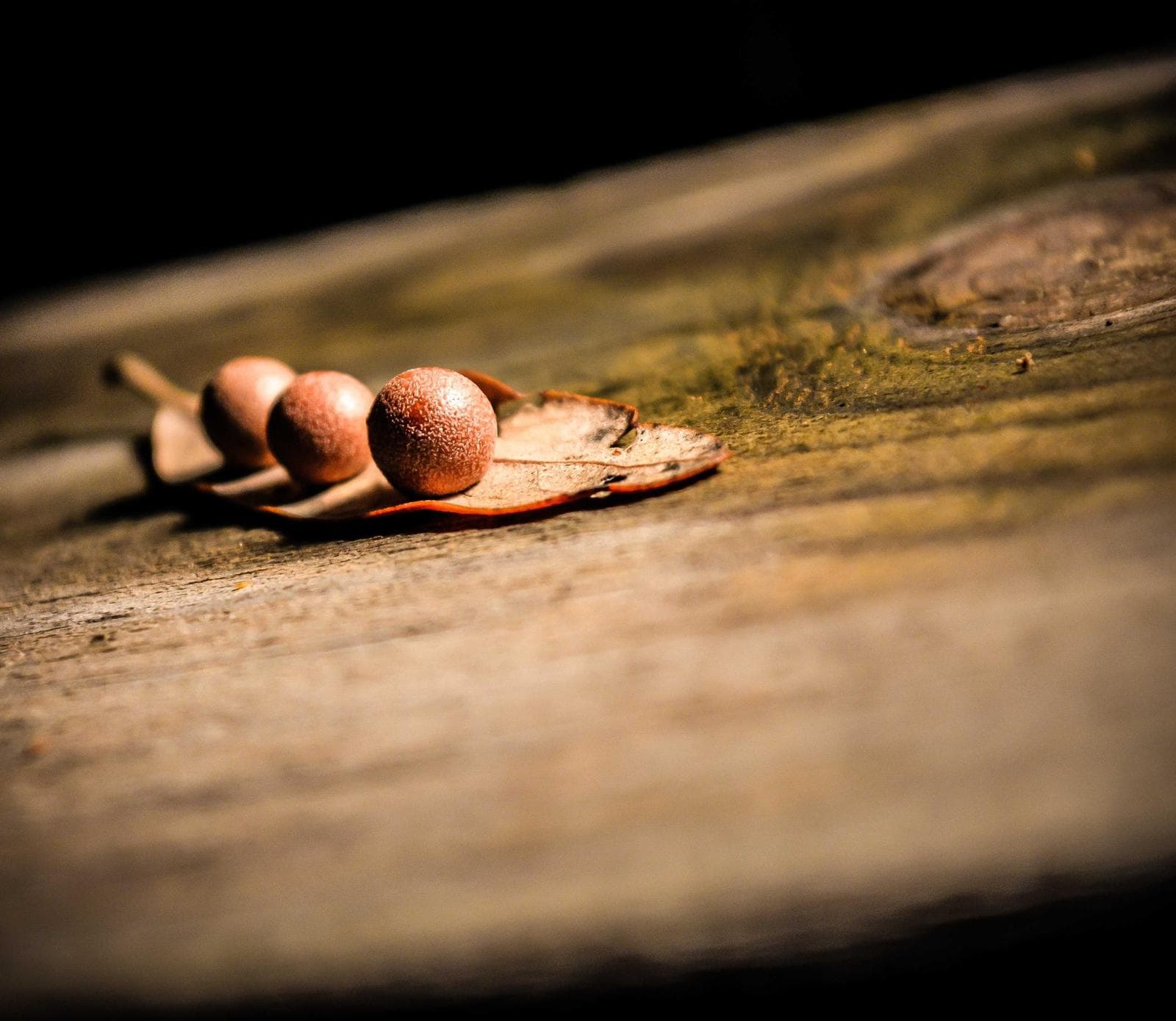 Stones on wood