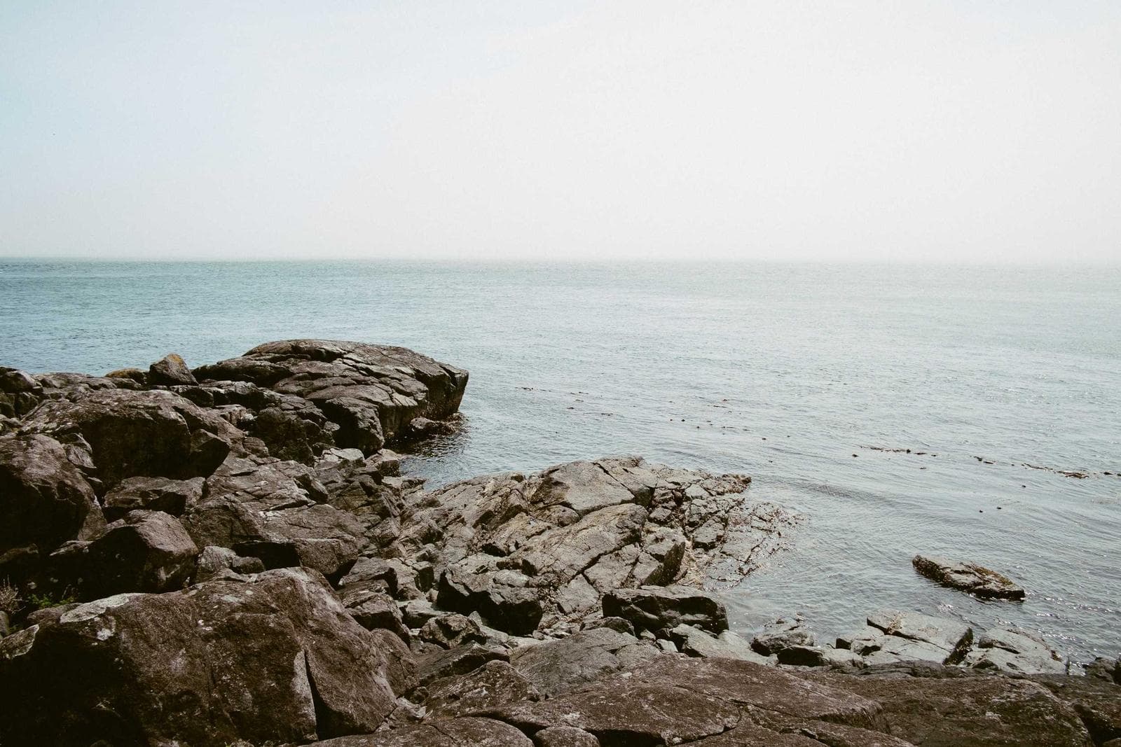 Rocky shore