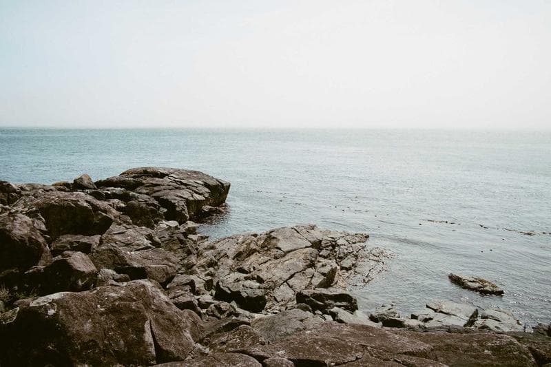 Rocky shore
