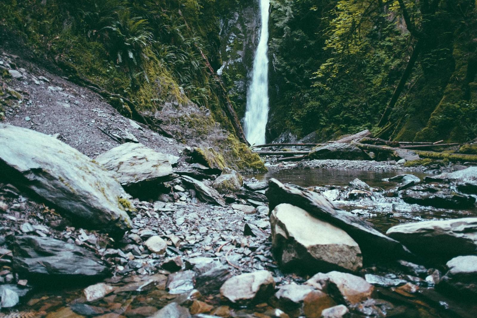 Waterfall in the trees