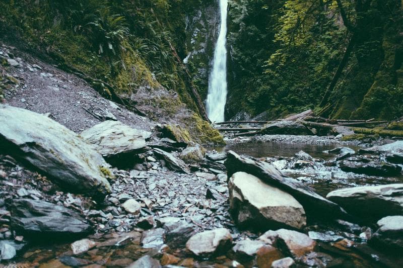 Waterfall in the trees