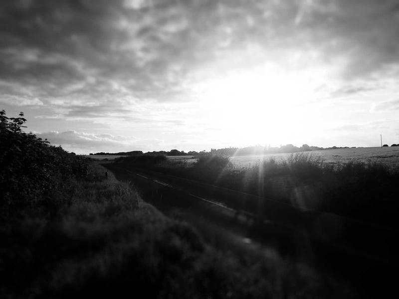 Landscape in black and white