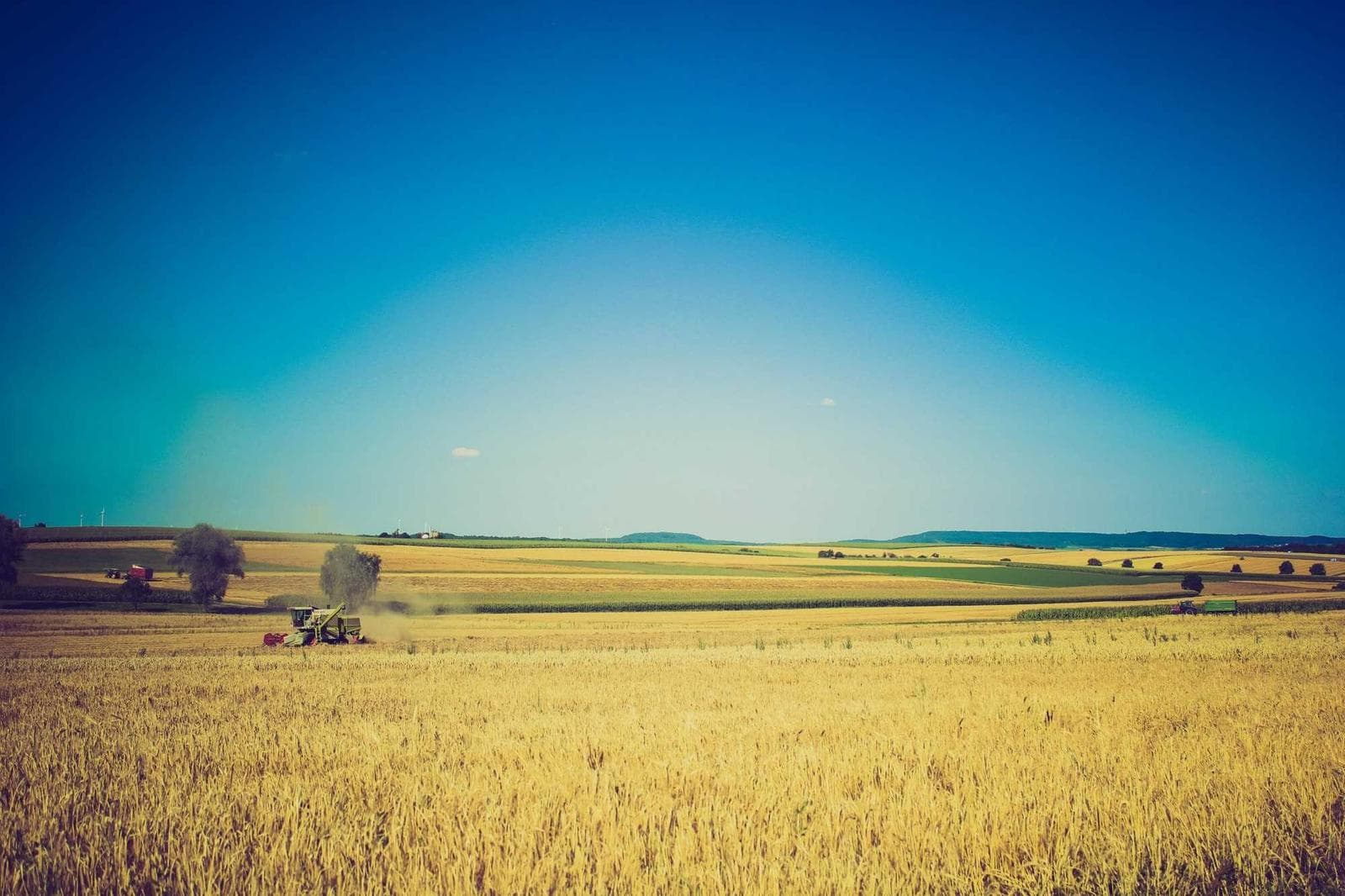 Field to the horizon