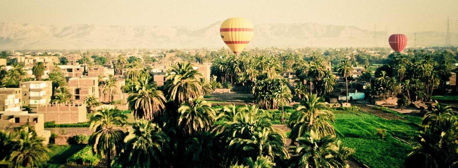 Balloon over the palms