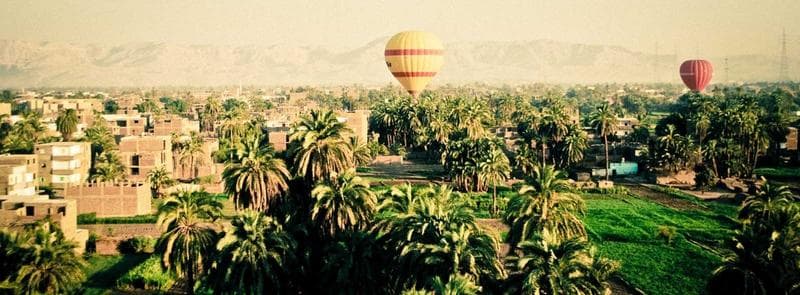 Balloon over the palms