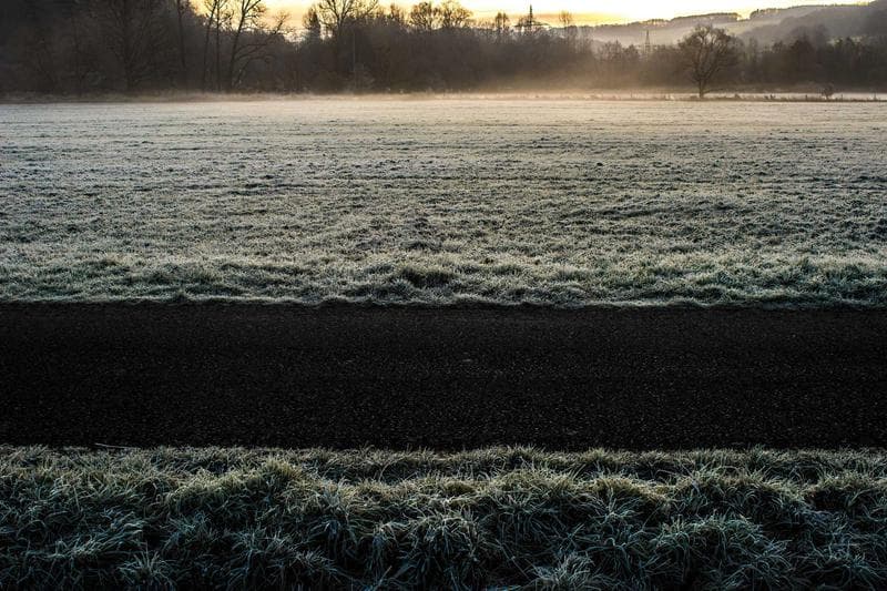 Frost at dawn