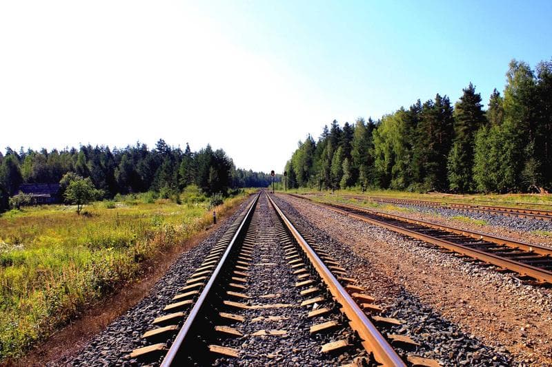 Track into the trees