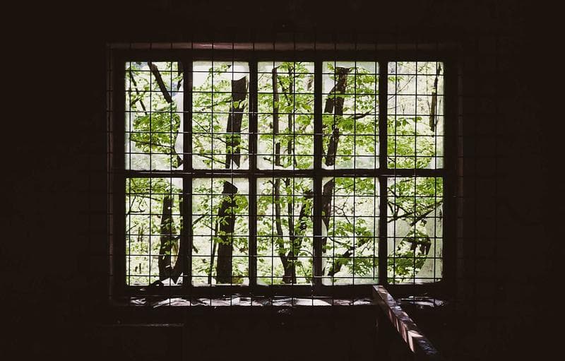Window onto green