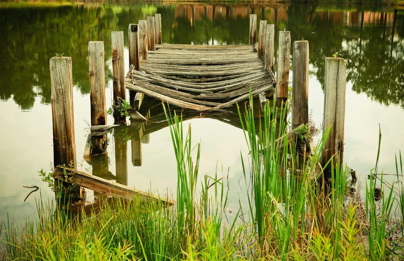 Posts in the water