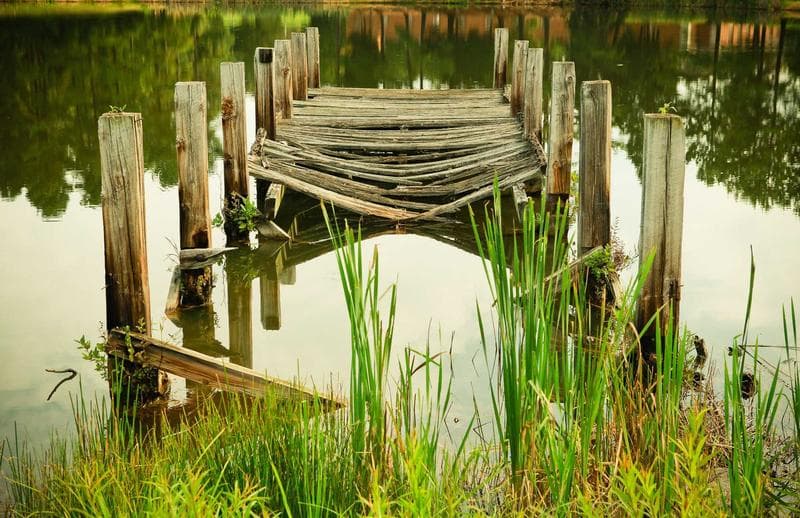 Posts in the water
