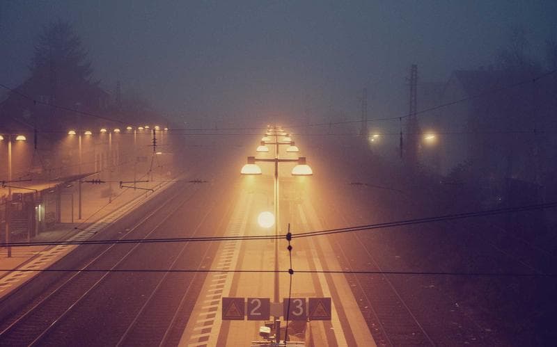 Road lights in fog