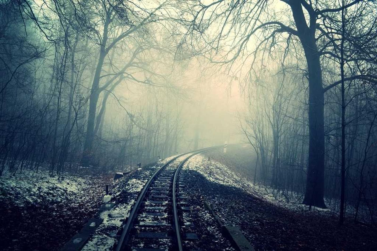 Track in fog