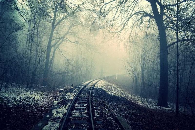 Track in fog