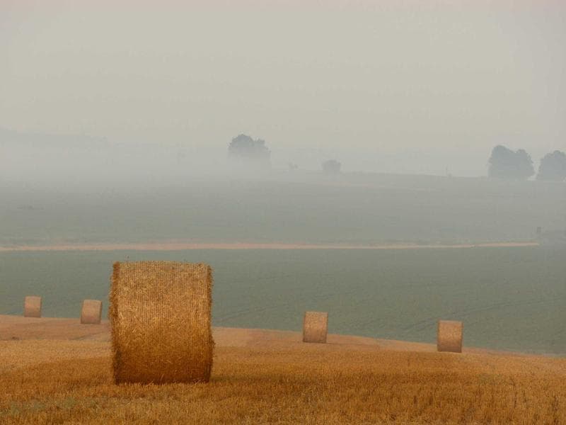 Bale in fog
