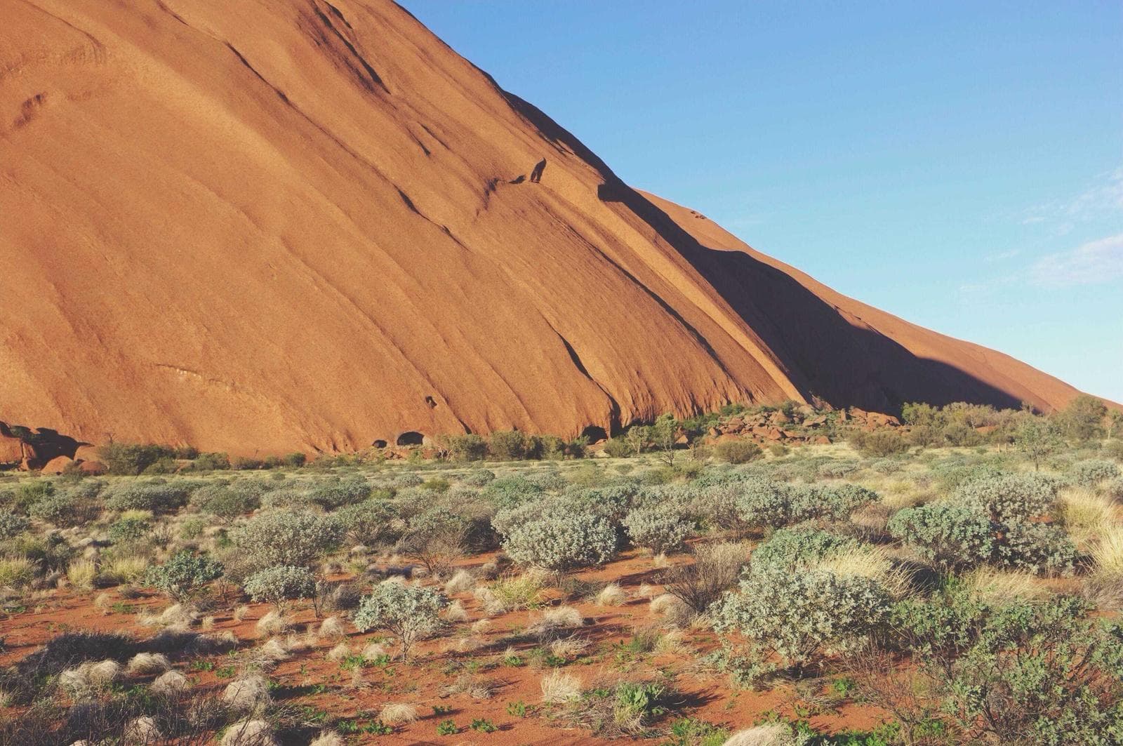 Red dune