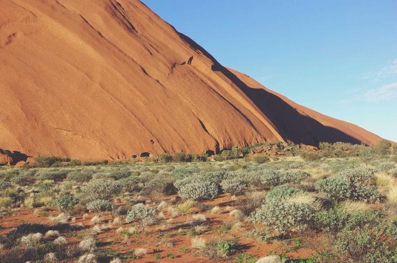 Red dune