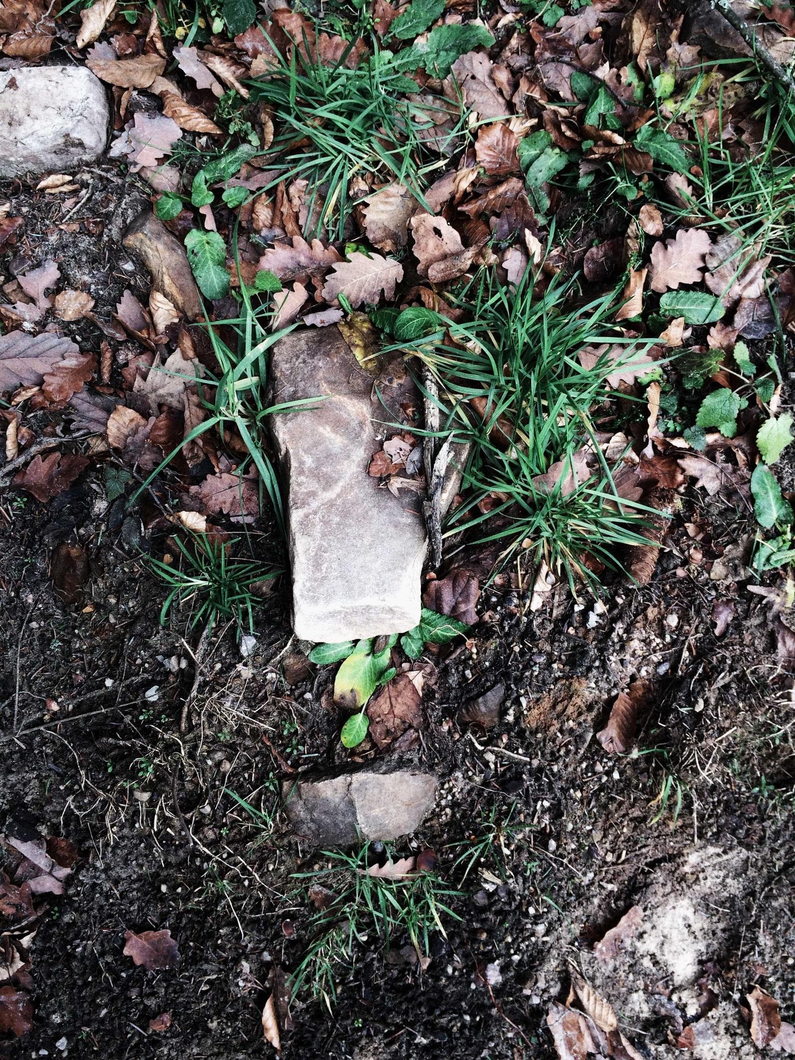 Ground cover