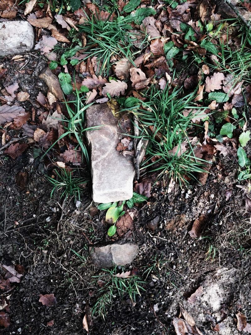 Ground cover