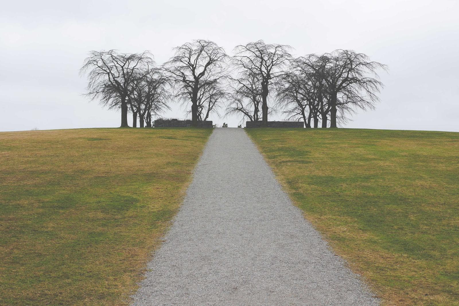 Path between trees