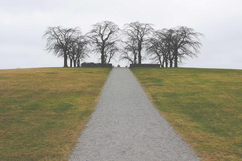 Path between trees