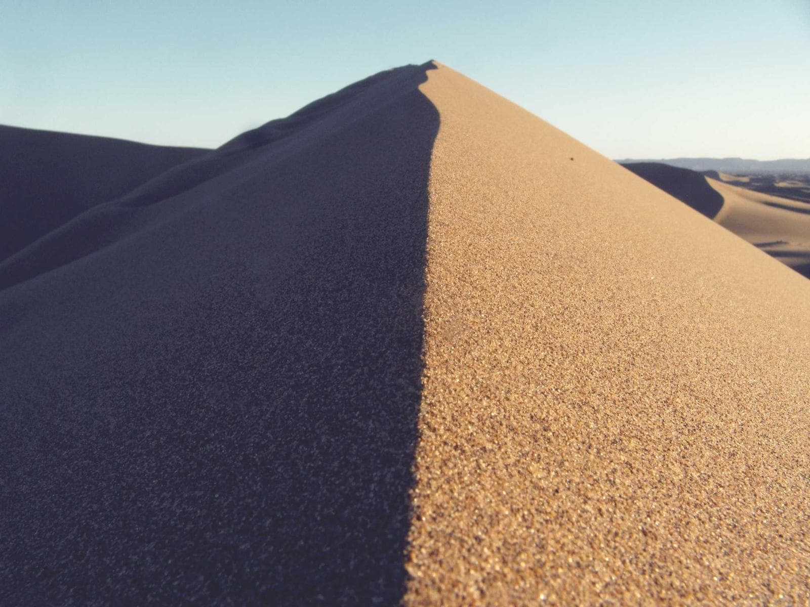 Ridge of a dune