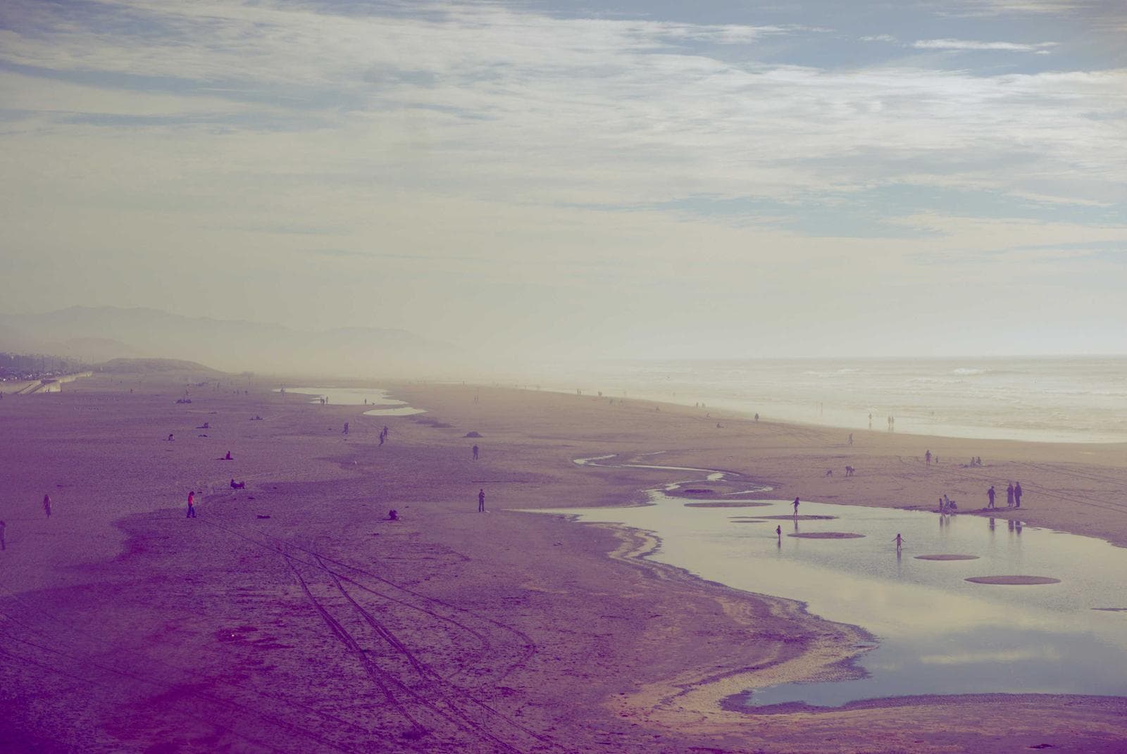 Purple shore
