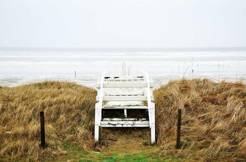 White bench in the dunes