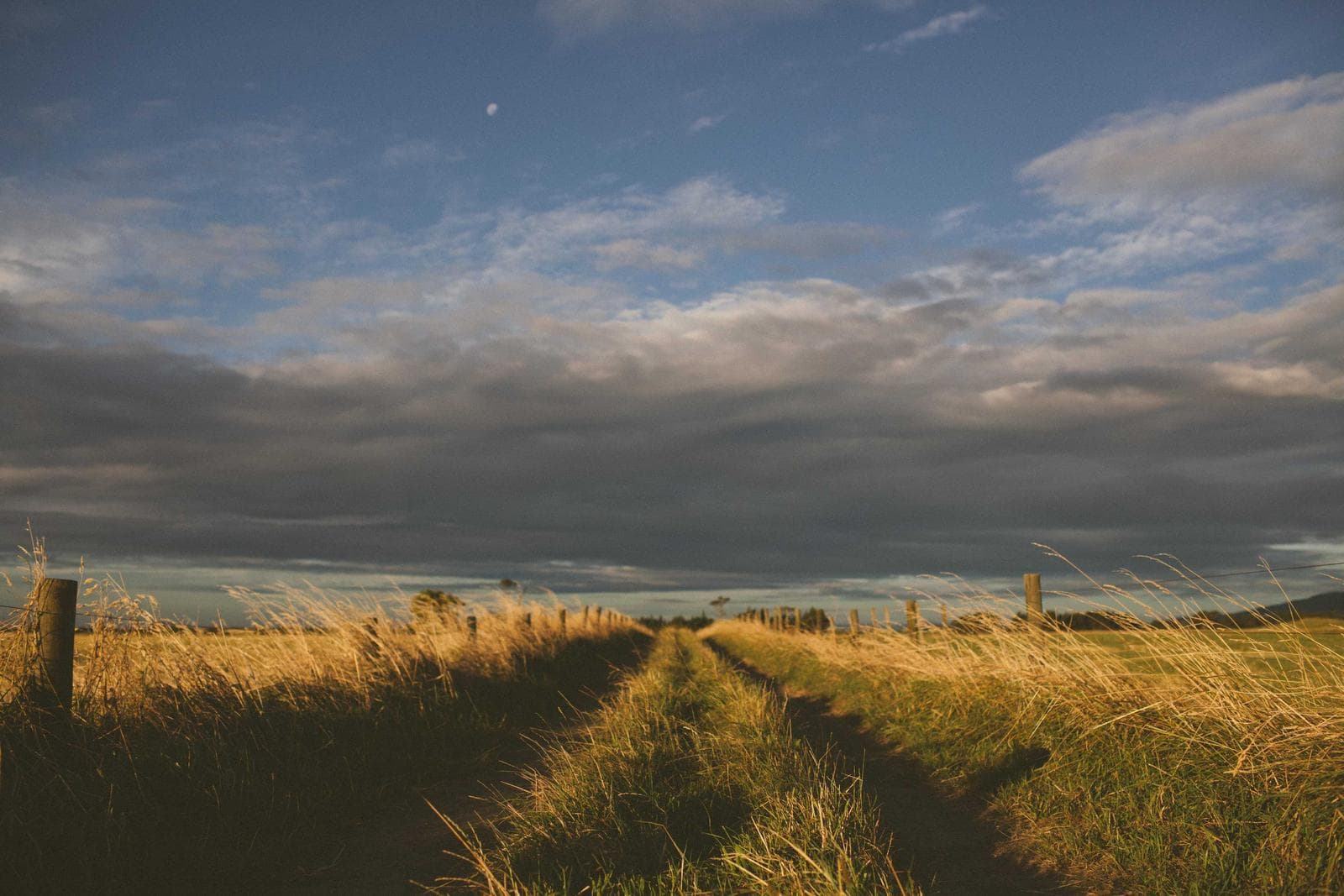 Track across a field