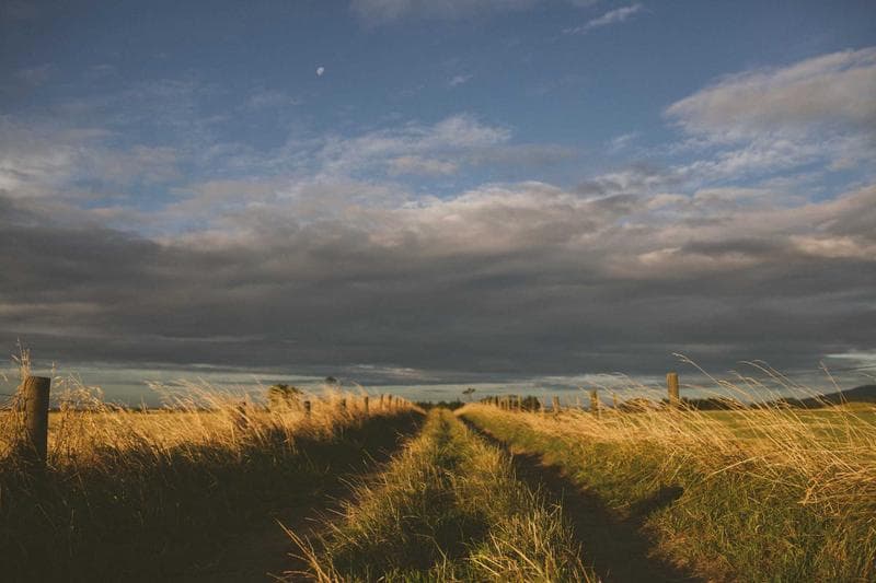 Track across a field