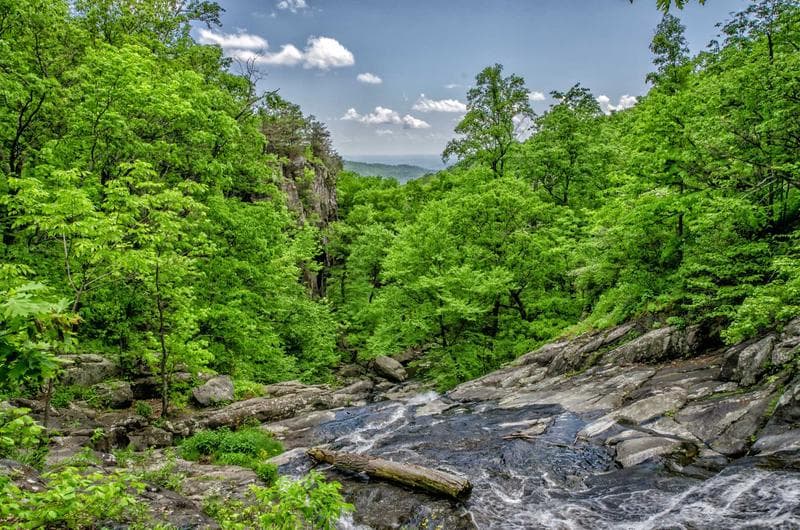 Green valley