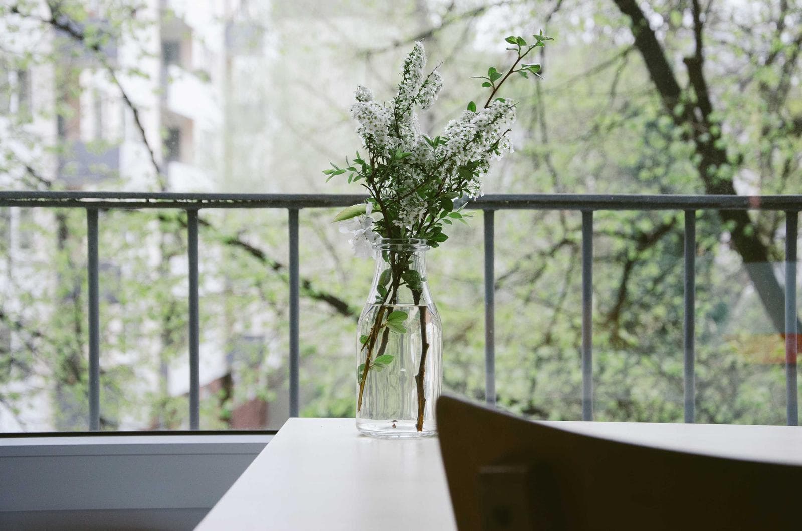 Plant on a balcony