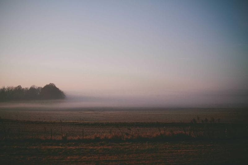 Island in fog