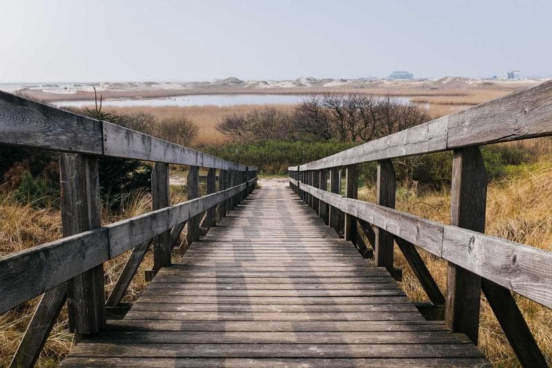 Boardwalk