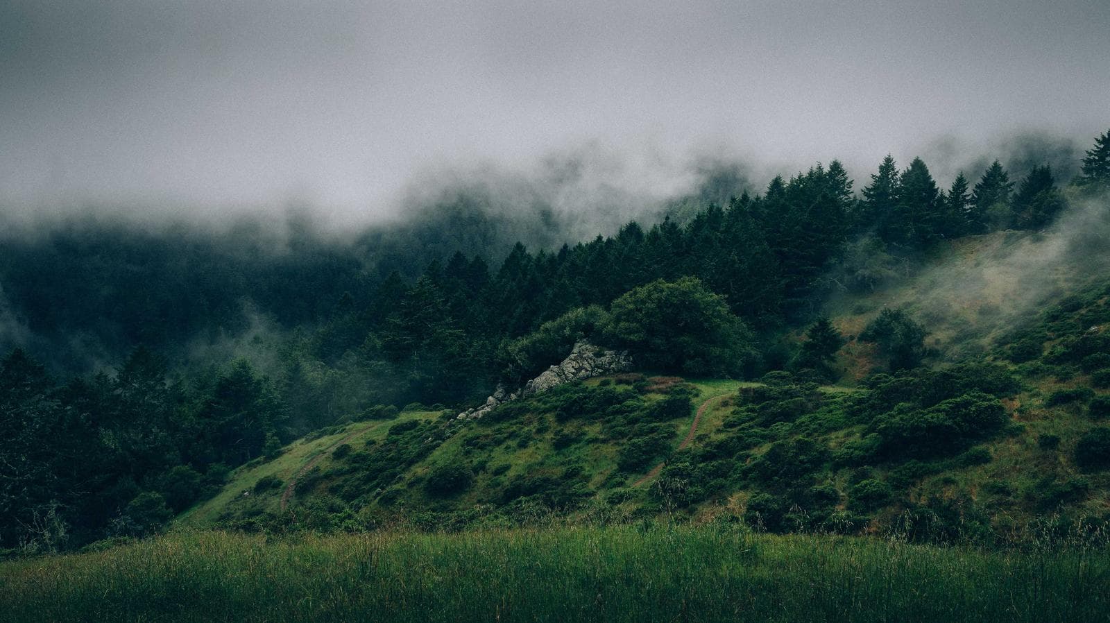 Misty hills