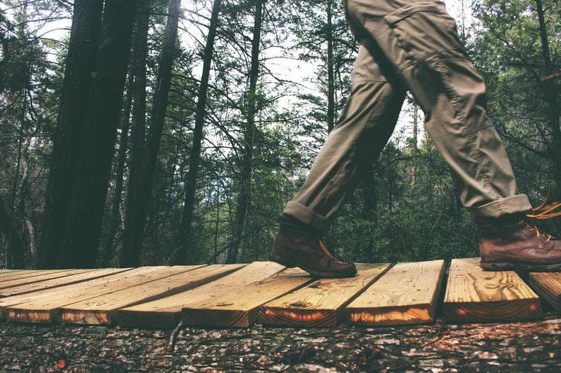 Cut timber