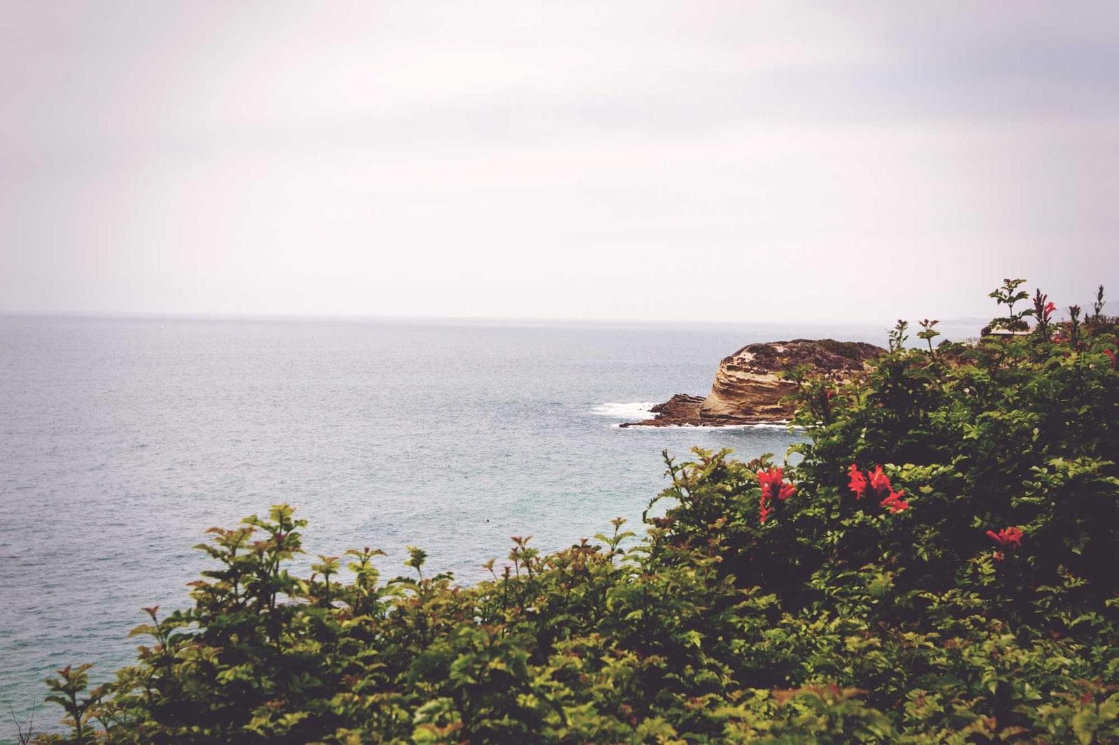 Coastal cliff