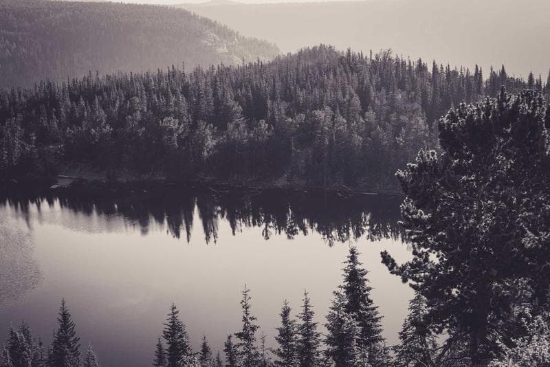 Mist on the lake