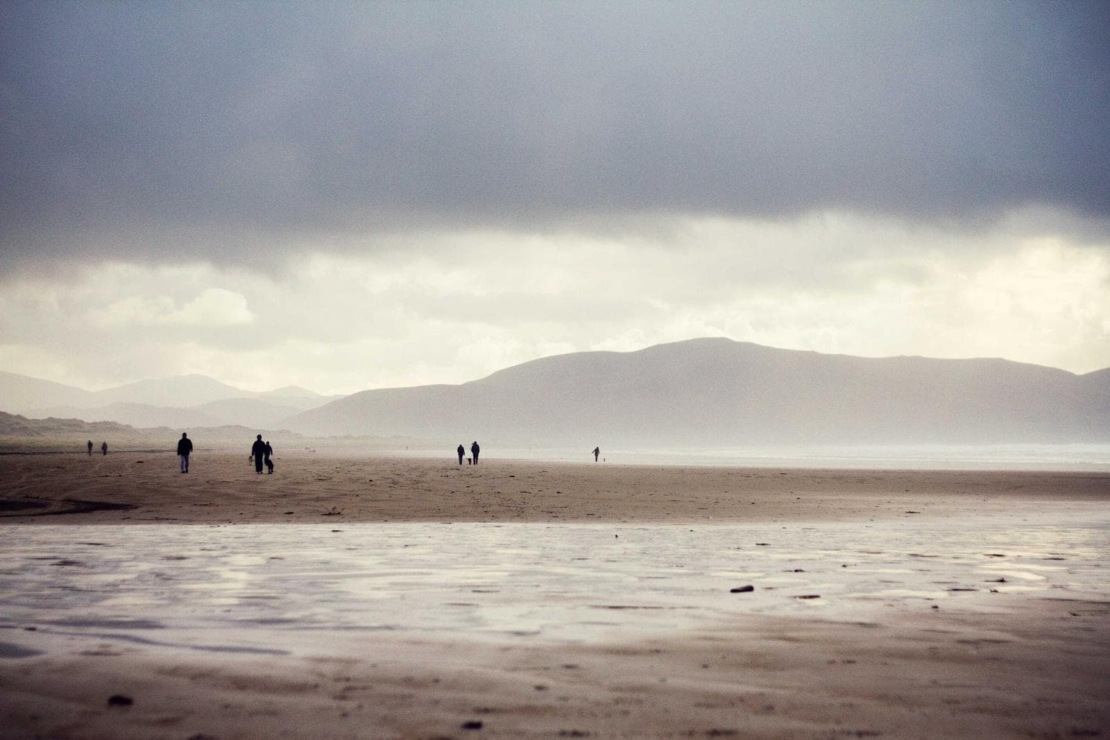 Fog on the beach