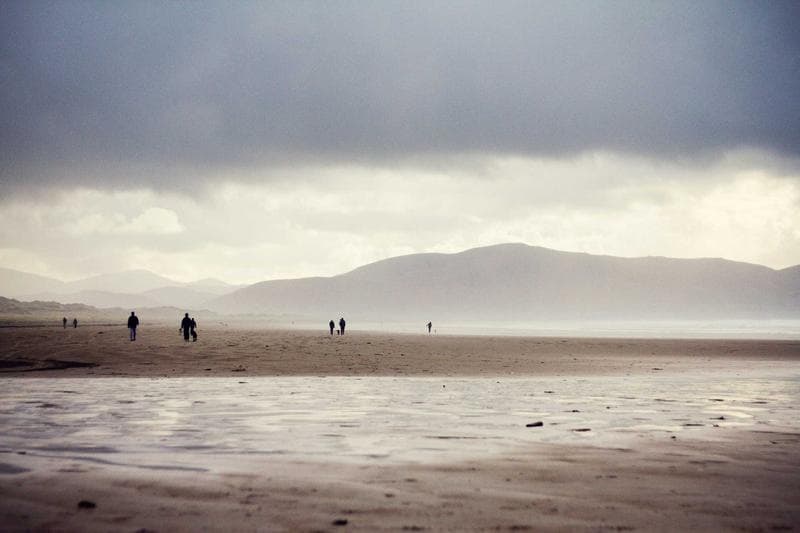 Fog on the beach