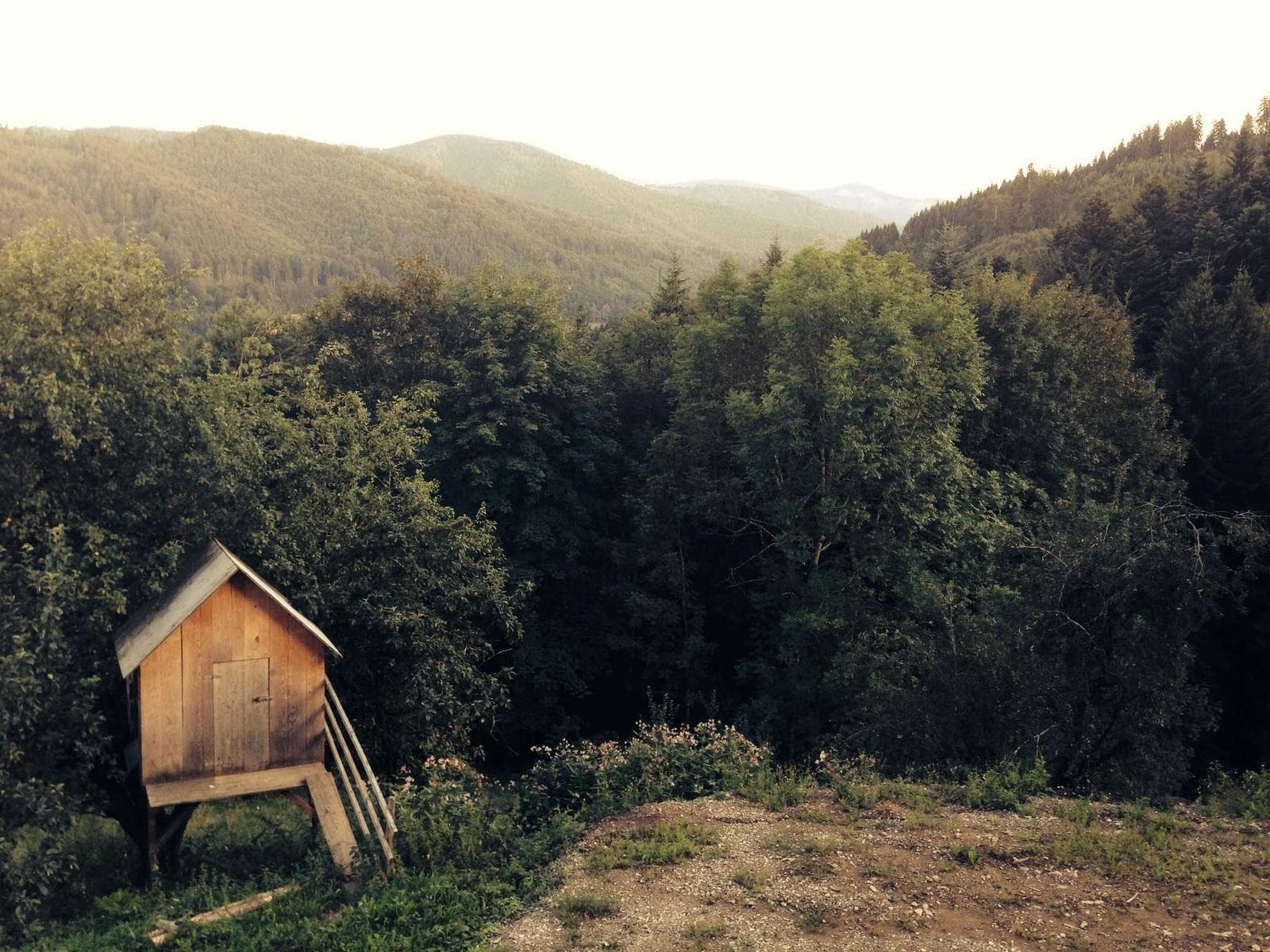 Cabin in the trees