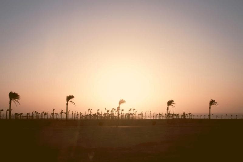 Field at last light