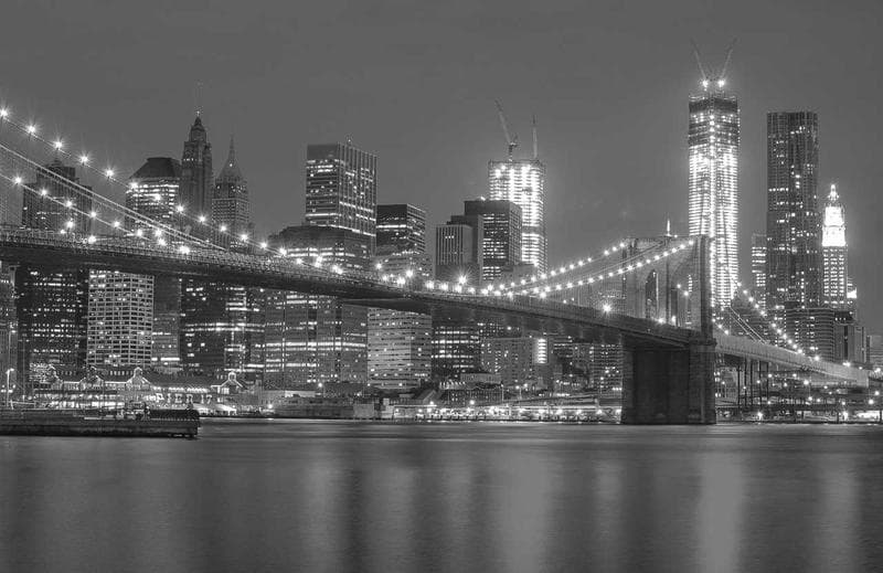 Bridge and skyline