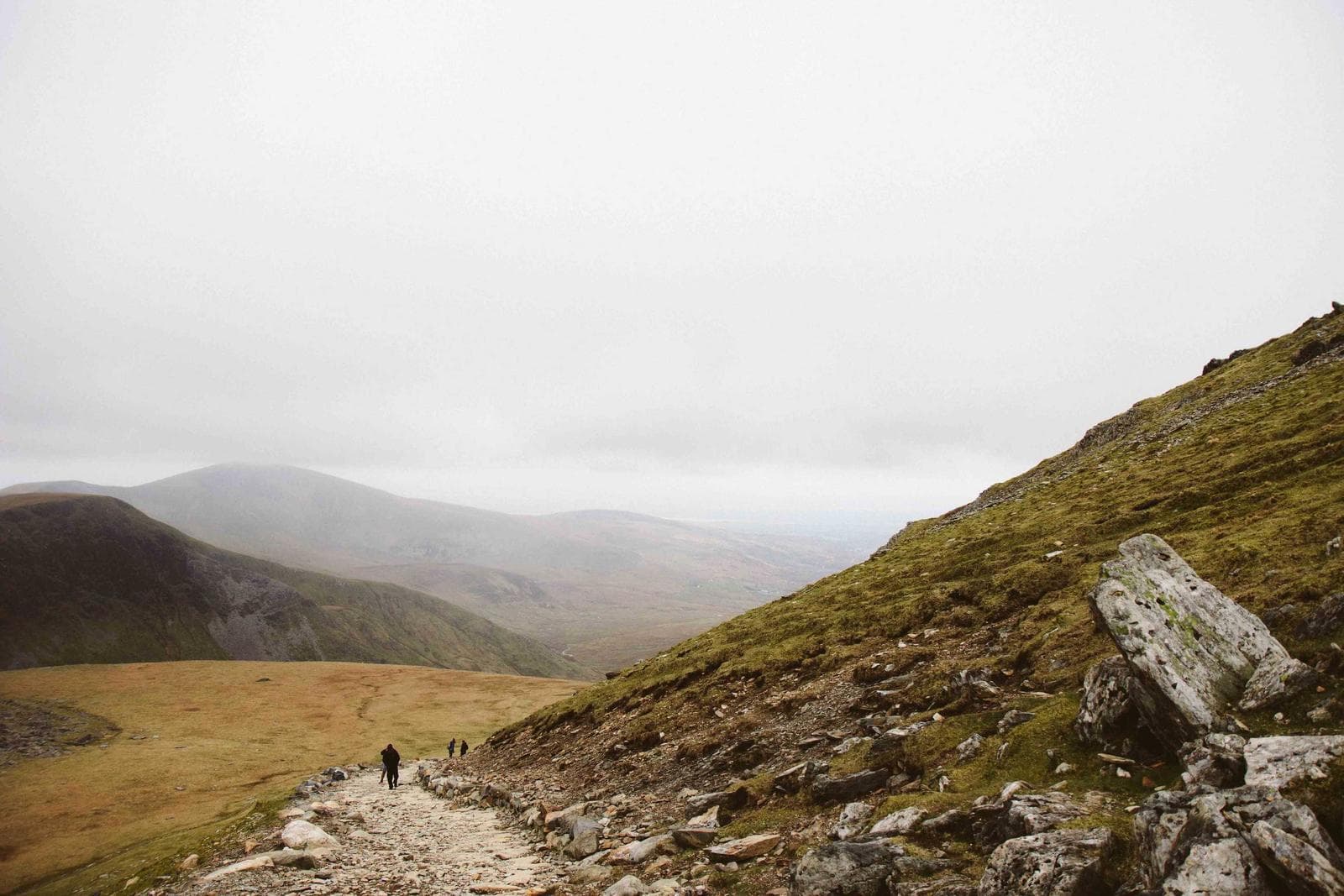 Up the ridge